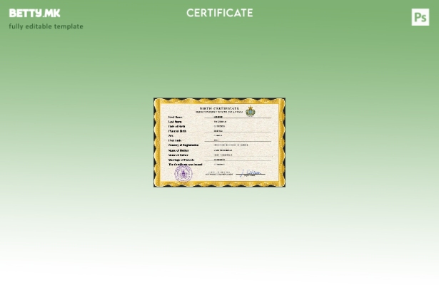 модерен стил Самоа витален рекорд на извод од матичната книга на родените шаблон